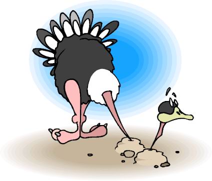 animated-ostrich-image-0017