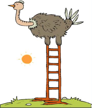 animated-ostrich-image-0025
