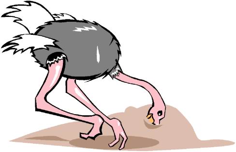 animated-ostrich-image-0028