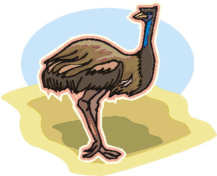 animated-ostrich-image-0038