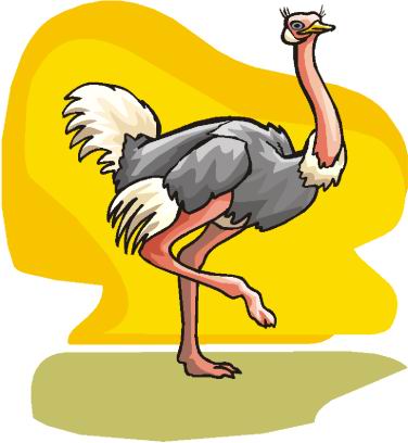 animated-ostrich-image-0041