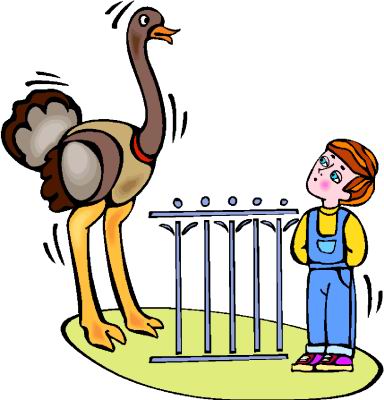 animated-ostrich-image-0044