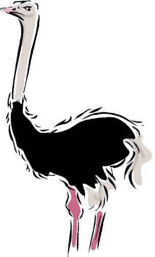 animated-ostrich-image-0046