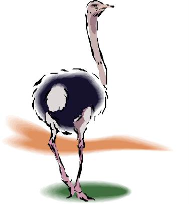 animated-ostrich-image-0056