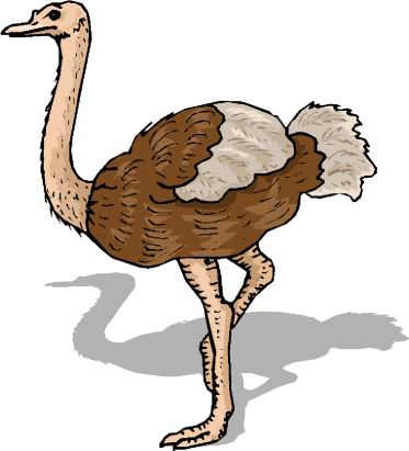 animated-ostrich-image-0058