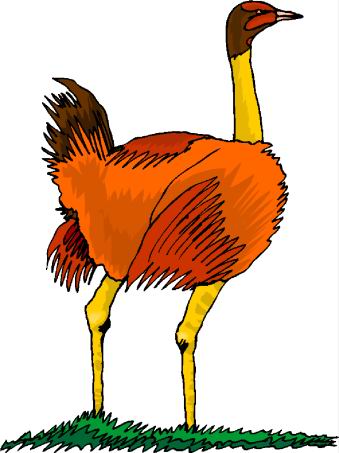 animated-ostrich-image-0060