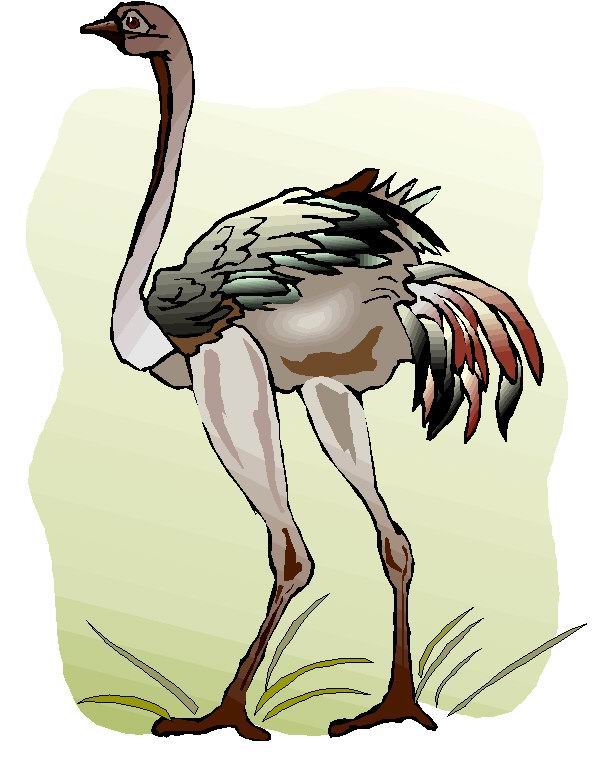 animated-ostrich-image-0063