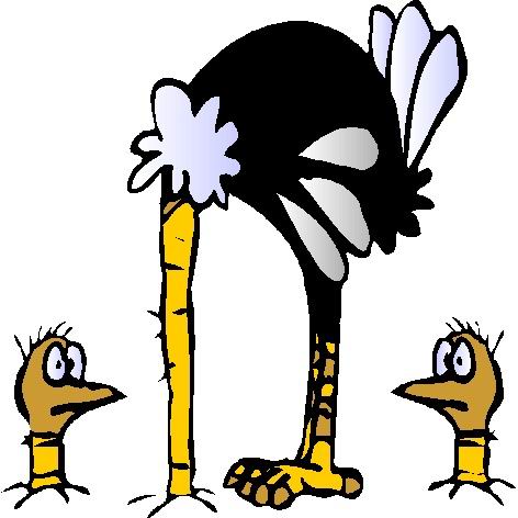 animated-ostrich-image-0069