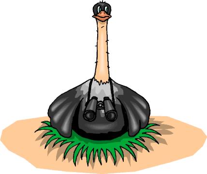 animated-ostrich-image-0072