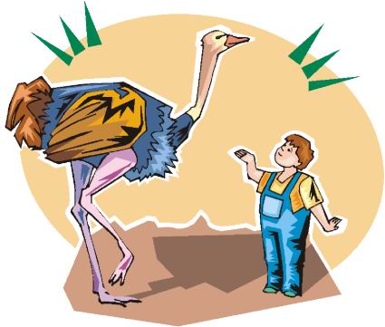 animated-ostrich-image-0082