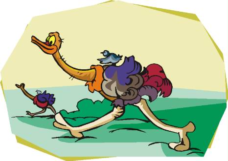 animated-ostrich-image-0084