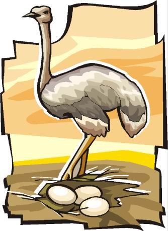 animated-ostrich-image-0090