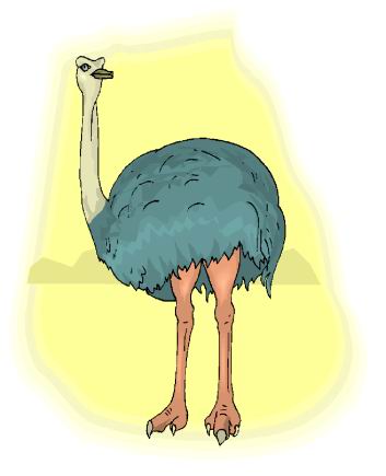 animated-ostrich-image-0091