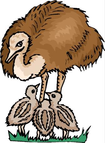 animated-ostrich-image-0092