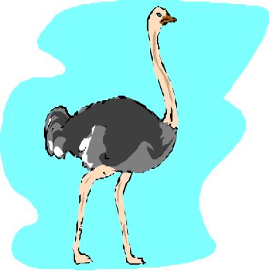 animated-ostrich-image-0094