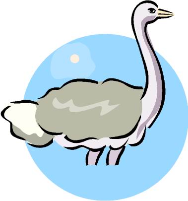 animated-ostrich-image-0107