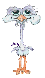 wallpapers Ostrich Gif Cartoon ostriches animated images gifs