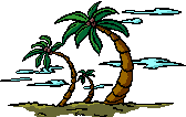 animated-palm-tree-image-0005