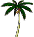animated-palm-tree-image-0020