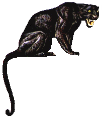 animated-panther-image-0004