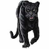 animated-panther-image-0014