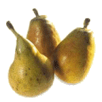 animated-pear-image-0016