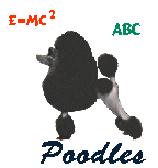 animated-poodle-image-0016