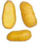 animated-potato-image-0013