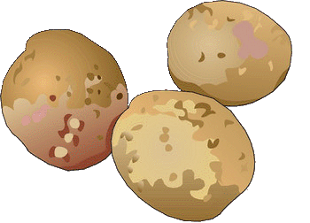 animated-potato-image-0027