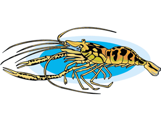 animated-lobster-image-0012