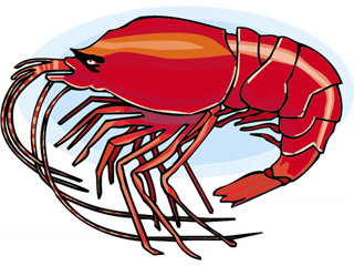 animated-lobster-image-0018