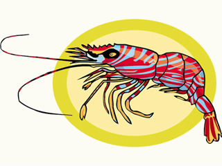 animated-lobster-image-0019