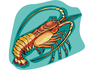 animated-lobster-image-0022