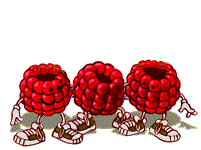 animated-raspberry-image-0004