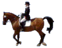 animated-rider-image-0008