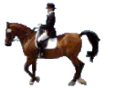 animated-rider-image-0008