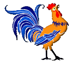 animated-rooster-image-0029