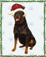 animated-rottweiler-image-0006