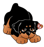 animated-rottweiler-image-0035