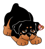 animated-rottweiler-image-0035