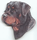 animated-rottweiler-image-0051