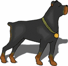 animated-rottweiler-image-0055