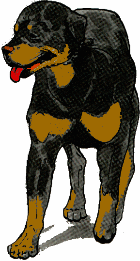 animated-rottweiler-image-0061
