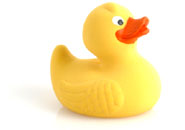 animated-rubber-duck-image-0002