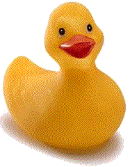 animated-rubber-duck-image-0025