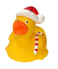 animated-rubber-duck-image-0054