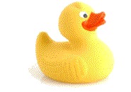 animated-rubber-duck-image-0060