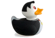 animated-rubber-duck-image-0101