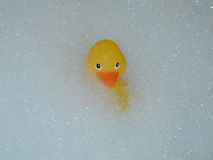 animated-rubber-duck-image-0105