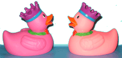 animated-rubber-duck-image-0112